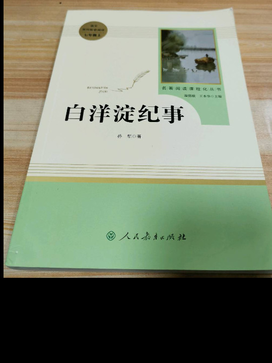 白洋淀纪事 人教版七年级上册 教育部编语文教材指定推荐必读书目 人民教育 名著阅读课程化丛书-买卖二手书,就上旧书街