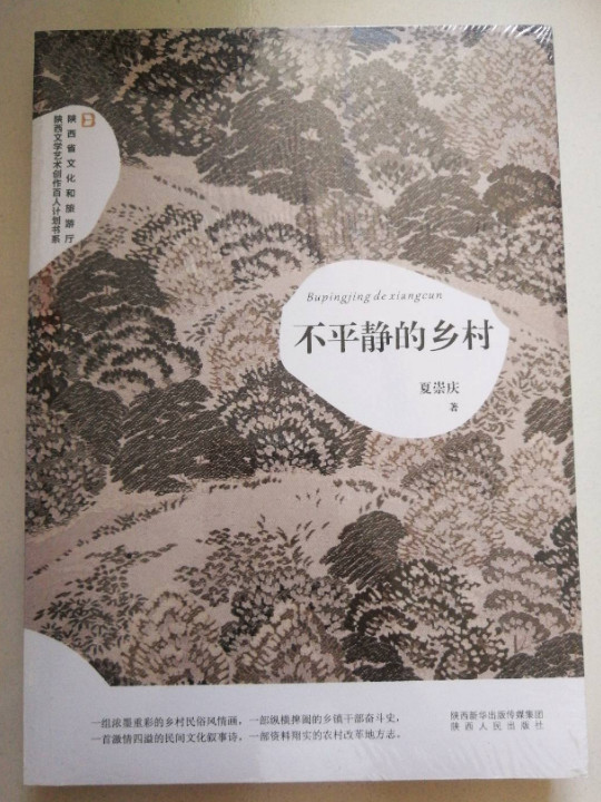 不平静的乡村/陕西省文化和旅游厅陕西文学艺术创作百人计划书系-买卖二手书,就上旧书街