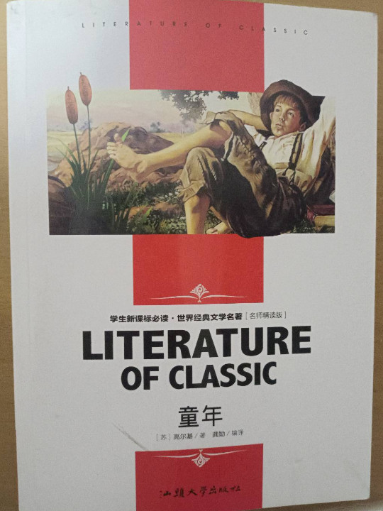 童年 中小学生新课标课外阅读·世界经典文学名著必读故事书 名师精读版