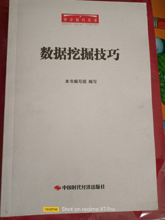 数据挖掘技巧/审计技巧丛书