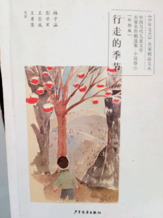 中国当代儿童文学名家名作精选集小说卷3：行走的季节