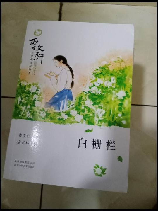 曹文轩小说阅读与鉴赏-白栅栏
