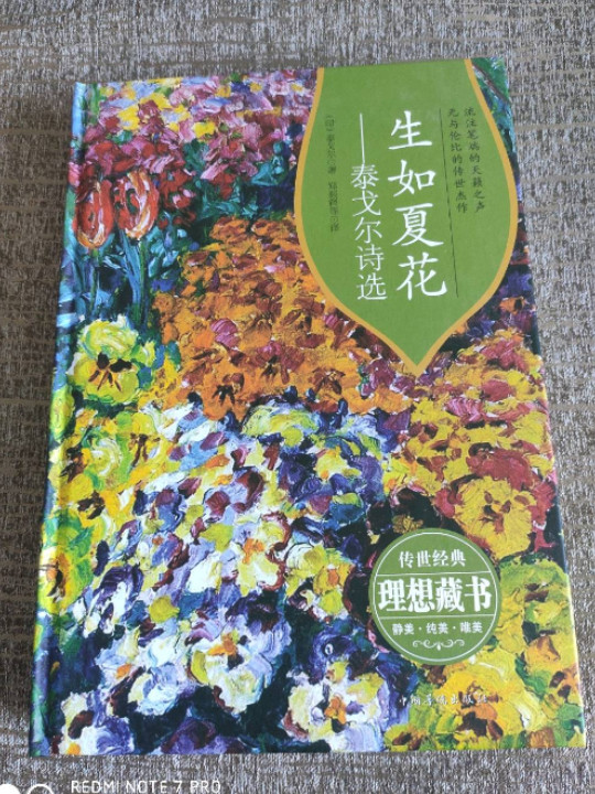 生如夏花：泰戈尔诗选