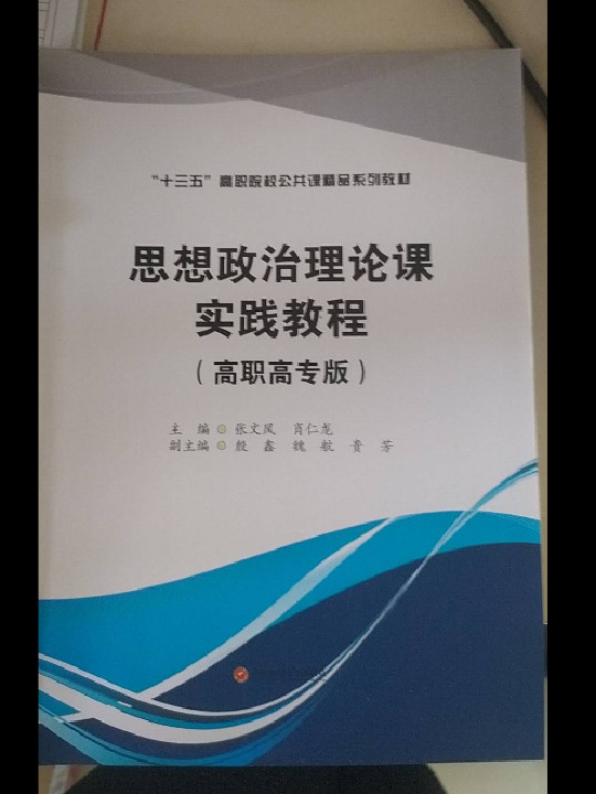 思想政治理论课实践教程/张文风