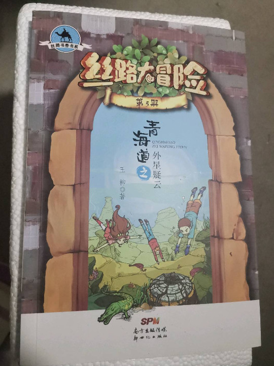 丝路大冒险：青海道之外星疑云