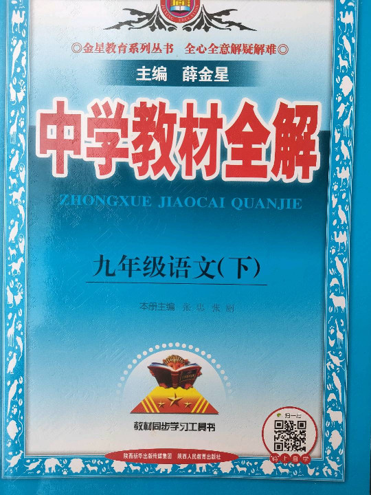 中学教材全解 九年级语文下 人教版 RJ 2018春-买卖二手书,就上旧书街