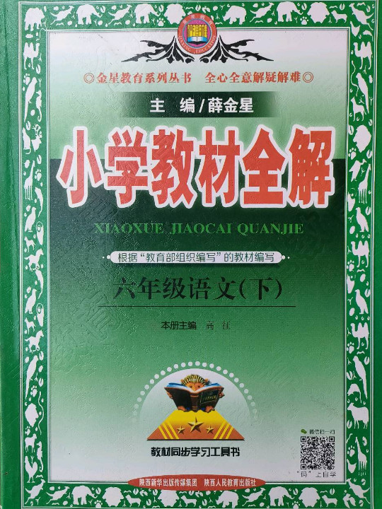 小学教材全解 六年级语文下 人教版 2017春-买卖二手书,就上旧书街