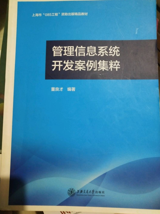 上海“085工程”资助出版精品教材：管理信息系统开发案例集粹