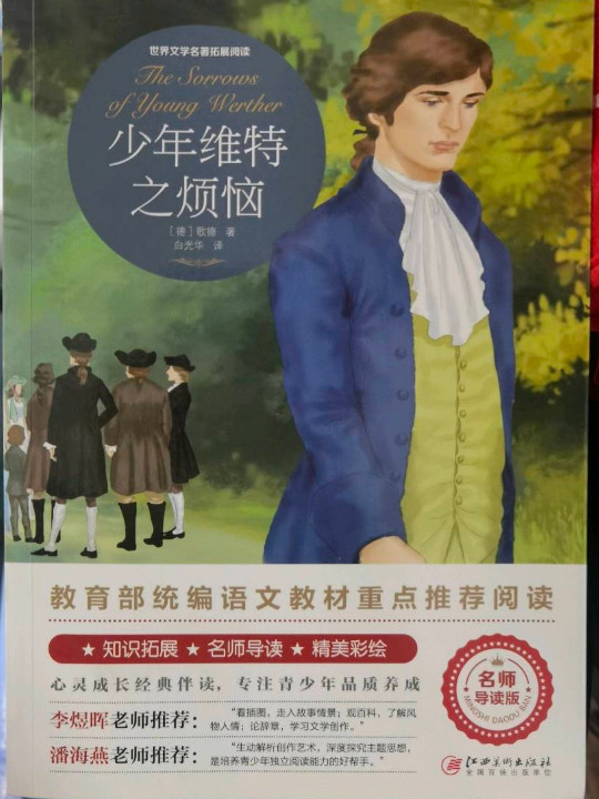 少年维特之烦恼