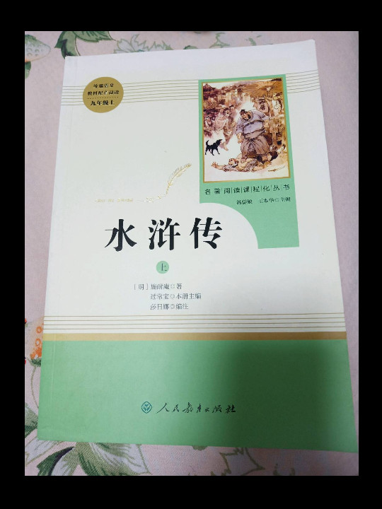 水浒传  人教版九年级上 教育部编语文教材指定推荐必读书目 人民教育 名著阅读课程化丛书