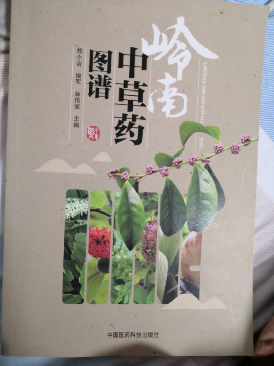 岭南中草药图谱