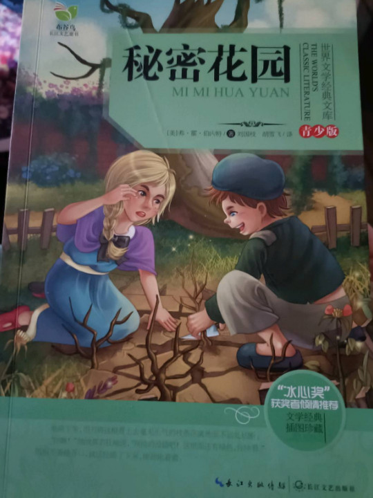 秘密花园-青少版-插图珍藏