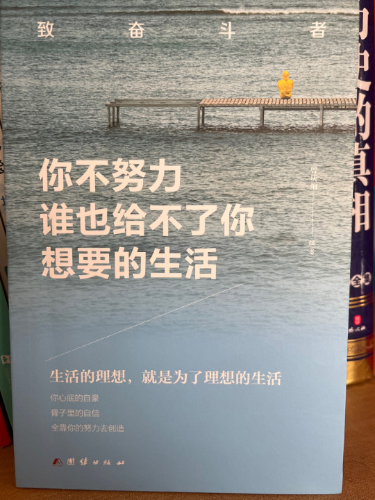 你不努力谁也给不了你想要的生活