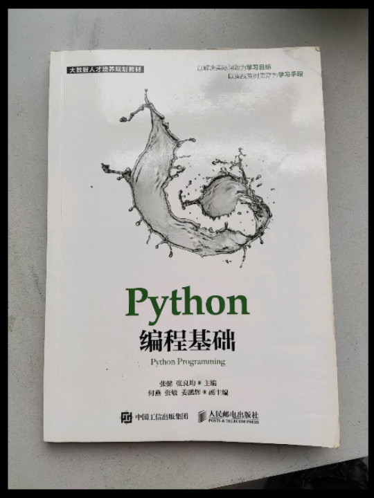 Python编程基础