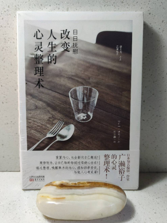 日日抚慰：改变人生的心灵整理术