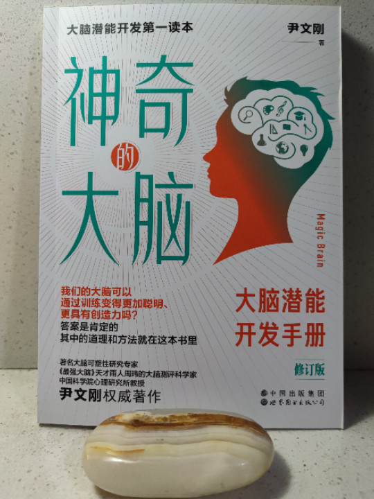 神奇的大脑大脑潜能开发手册