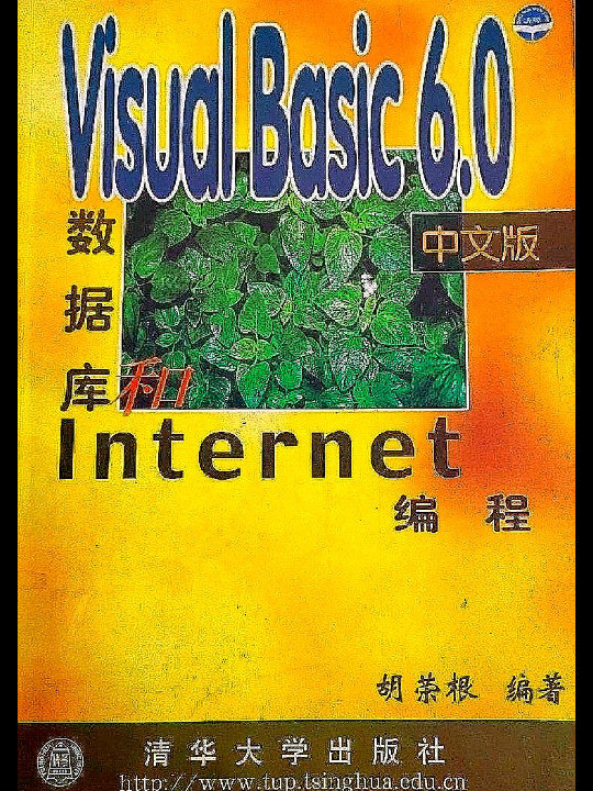 Visual Basic 6.0 中文版数据库和 Internet 编程