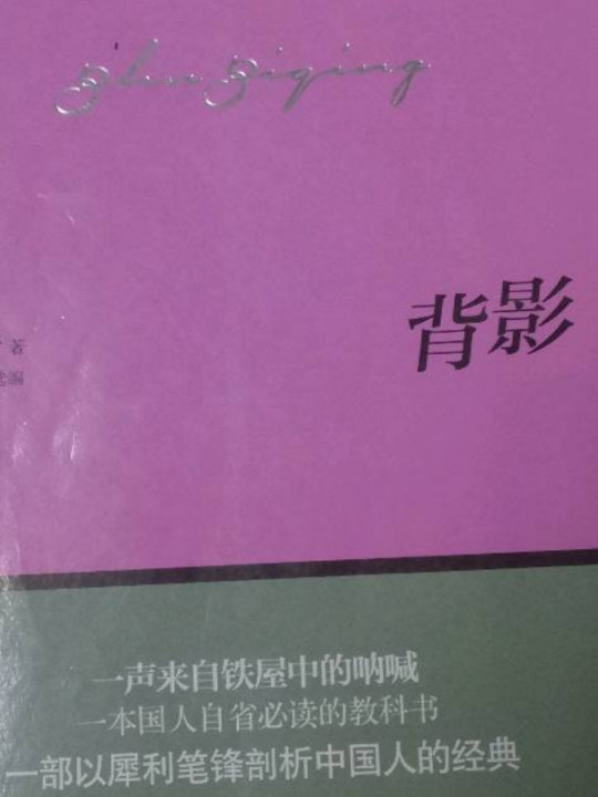 背影 新课标课外经典阅读丛书-买卖二手书,就上旧书街