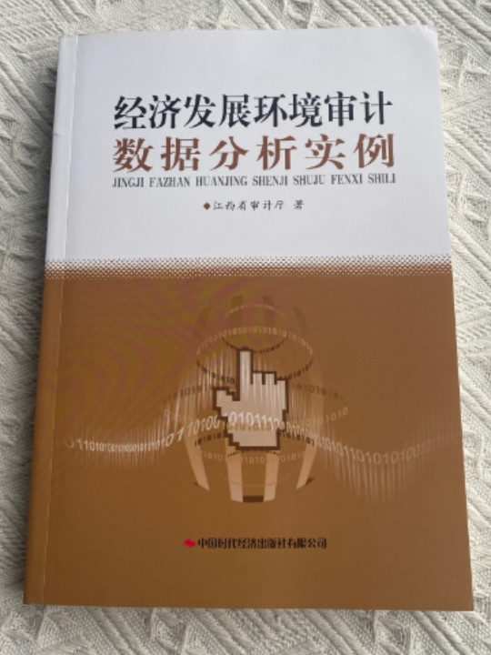 经济发展环境审计数据分析实例