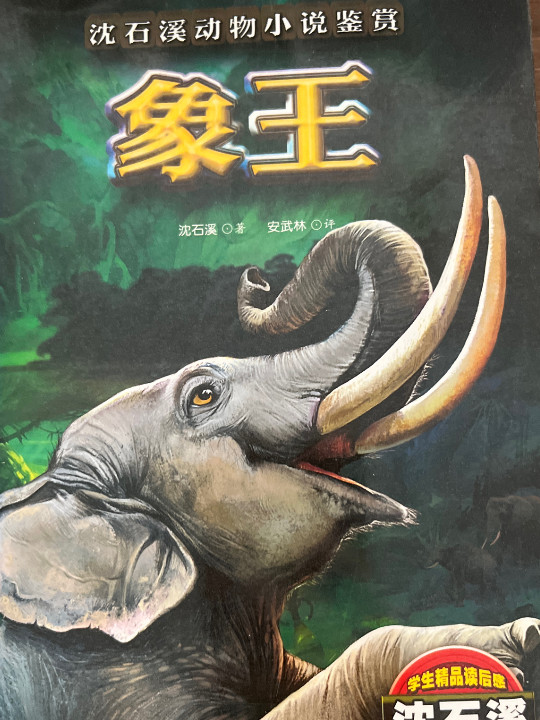 象王/沈石溪动物小说鉴赏