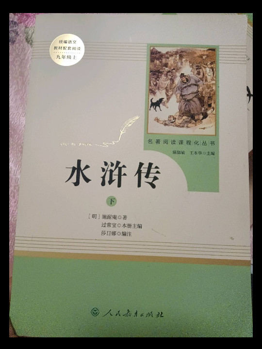 水浒传  人教版九年级上 教育部编语文教材指定推荐必读书目 人民教育 名著阅读课程化丛书