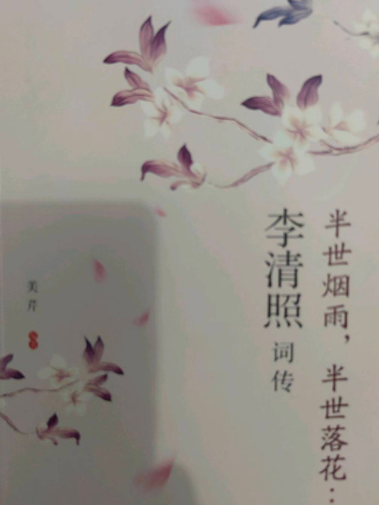 半世烟雨，半世落花：李清照词传-买卖二手书,就上旧书街