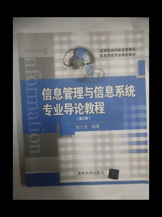 信息管理与信息系统专业导论教程