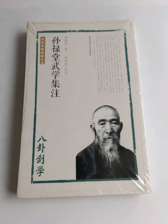 孙禄堂武学集注