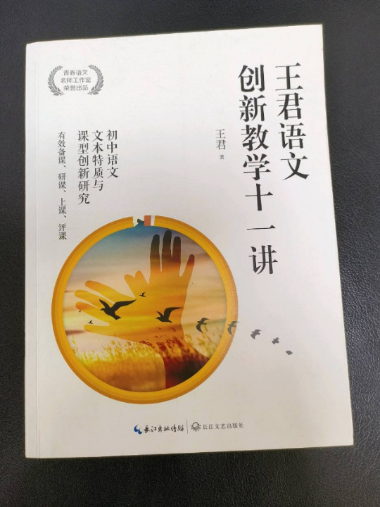 王君语文创新教学十一讲-买卖二手书,就上旧书街