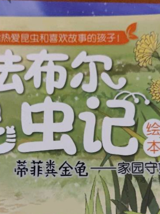 蒂菲粪金龟:家园守望者