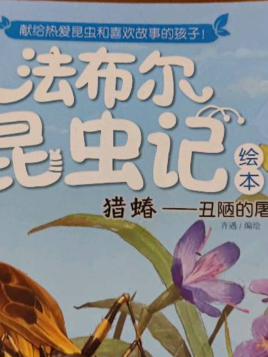 猎蝽:丑陋的屠夫