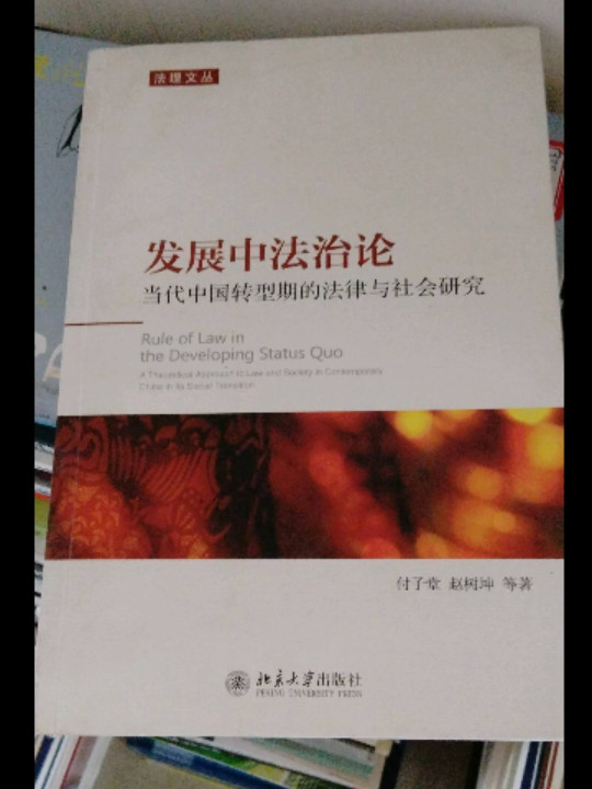 法理文丛·发展中法治论：当代中国转型期的法律与社会研究