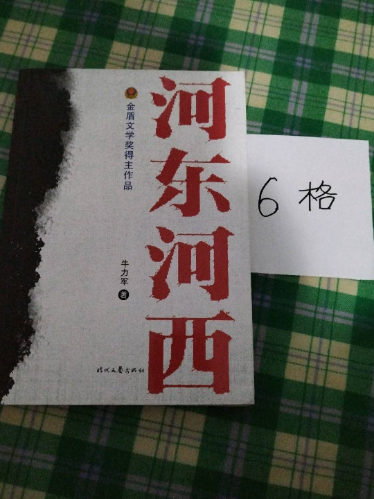 河东河西