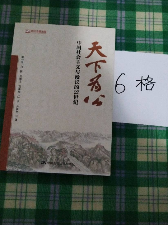 天下为公：中国社会主义与漫长的21世纪