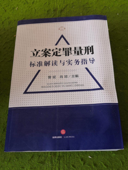 立案定罪量刑标准解读与实务指导