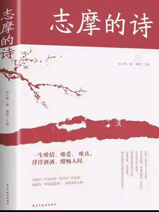 愿你出走半生，归来仍是少年：徐志摩传