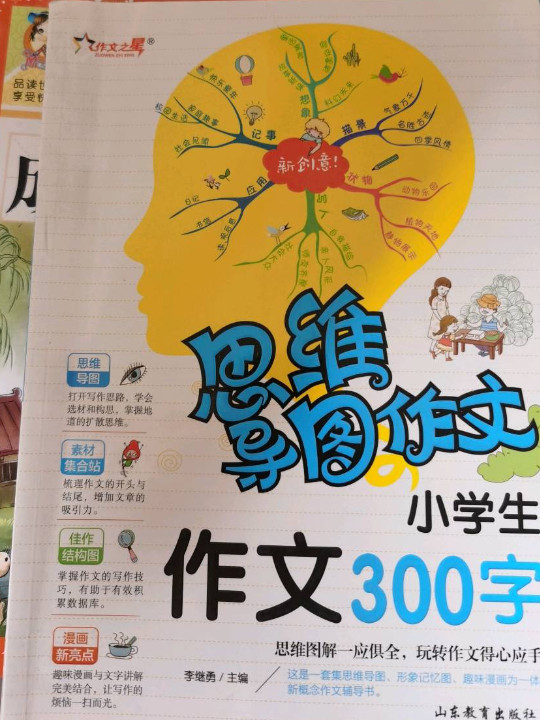 思维导图作文：小学生作文 300 字