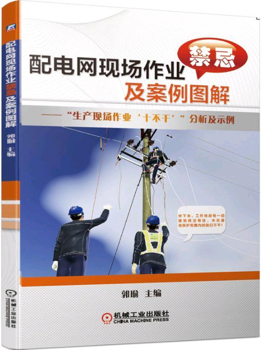 配电网现场作业禁忌及案例图解 “生产现场作业‘十不干’”分析及示例