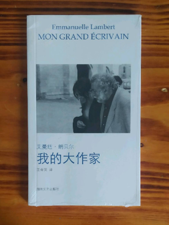 我的大作家