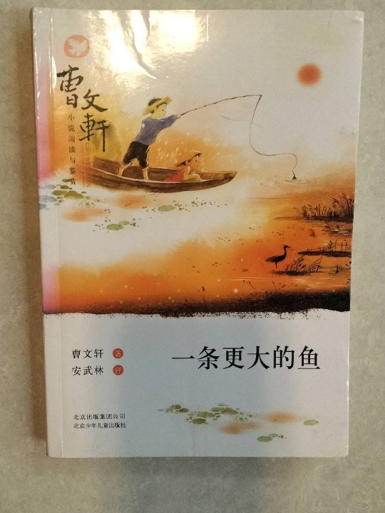 曹文轩小说阅读与鉴赏：一条更大的鱼