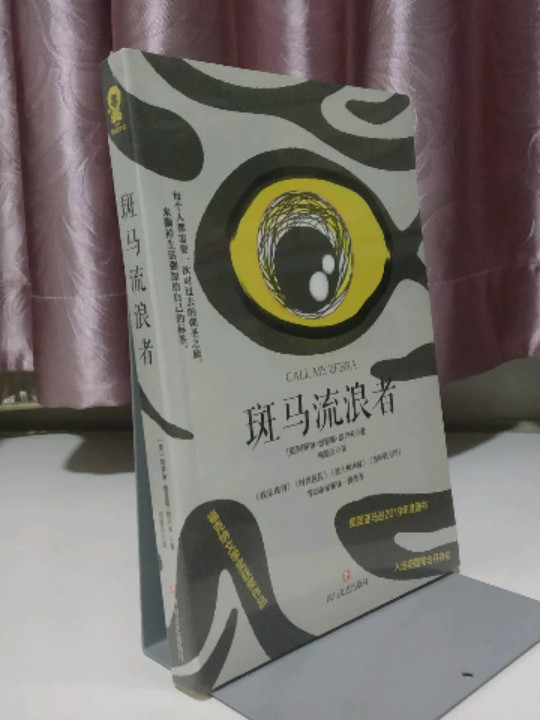 斑马流浪者