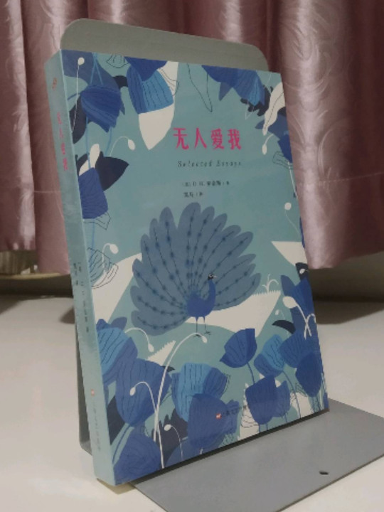 无人爱我