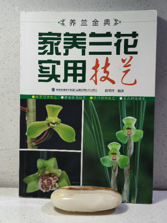 养兰金典 家养兰花实用技艺