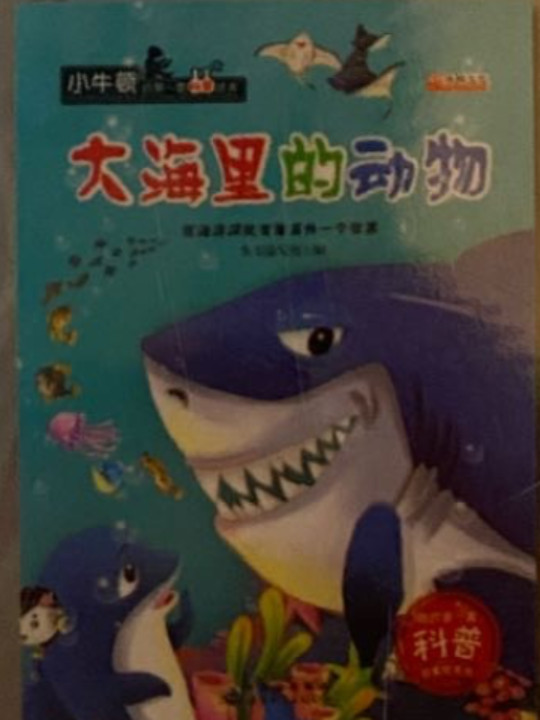 大海里的动物 在海洋深处有着另外一个世界