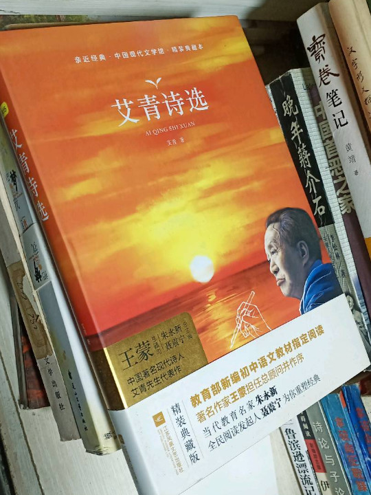 艾青诗选/亲近经典·中国现代文学馆·精装典藏本