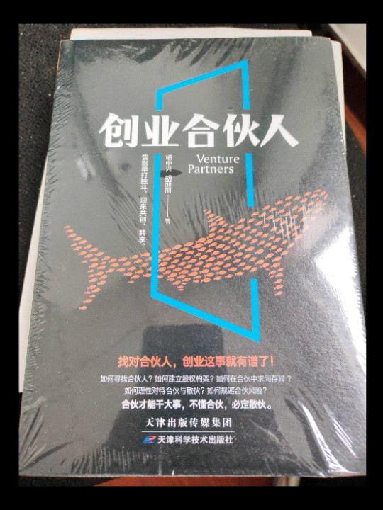 创业合伙人