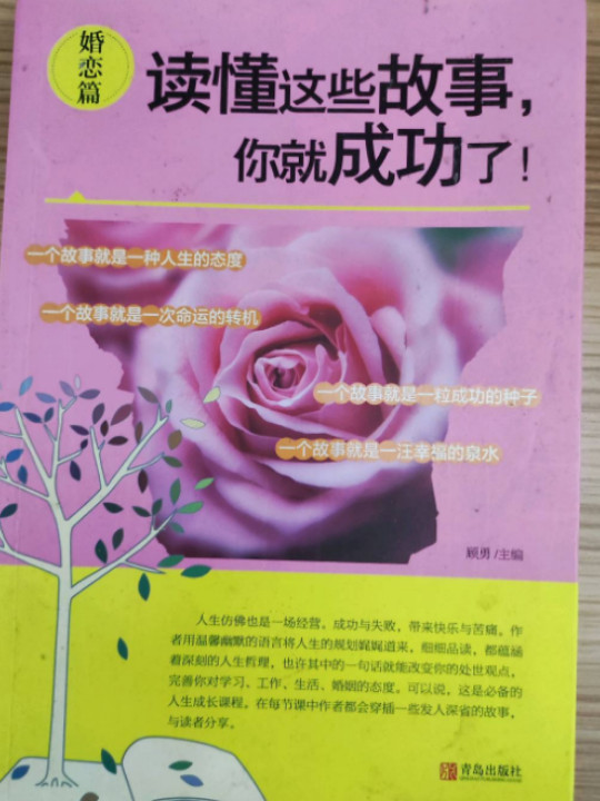婚恋篇/读懂这些故事你就成功了