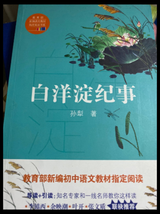 白洋淀纪事/教育部新编语文教材指定阅读书系-买卖二手书,就上旧书街