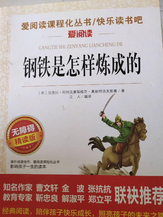 钢铁是怎样炼成的/语文新课标必读丛书分级课外阅读青少版