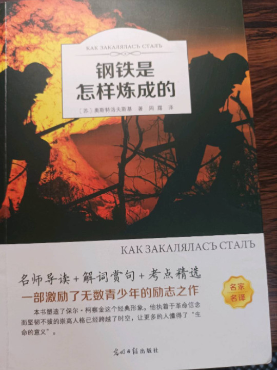 钢铁是怎样炼成的